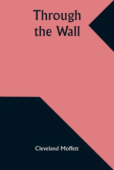 Paperback Through the Wall Book