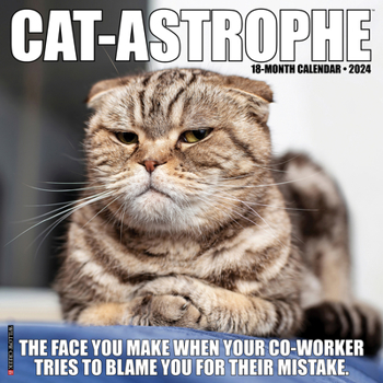 Calendar Cat-Astrophe 2024 12 X 12 Wall Calendar Book