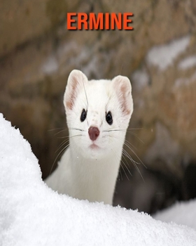 Paperback Ermine: Amazing Facts & Pictures Book