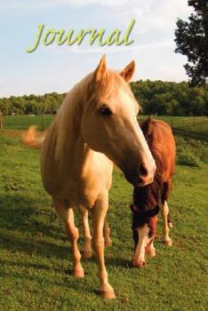 Paperback Horse Sense Journal Book