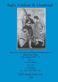 Paperback Biglis, Caldicot and Llandough: Three Late Iron Age and Romano-British Sites in South-East Wales. Excavations 1977-79 Book