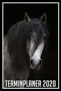 Terminplaner 2020: Jahresplaner von September 2019 bis Dezember 2020 mit Pferd - Planer mit 174 Seiten in weiß im Format A5 mit glänzendem Soft Cover. (German Edition)