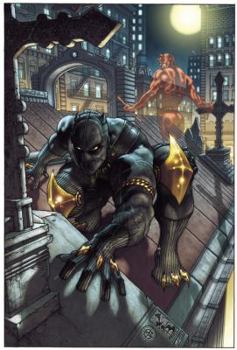 Black Panther: The Man Without Fear, Volume 1: Urban Jungle - Book  of the Black Panther: The Man Without Fear/The Most Dangerous Man Alive