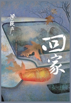 Paperback &#22238;&#23478; [Chinese] Book