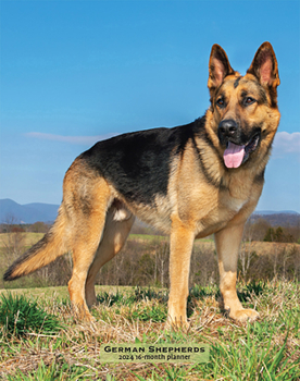 Calendar German Shepherds 2024 Engagement Book