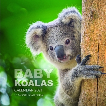 Baby Koalas Calendar 2021: 16 Month Calendar