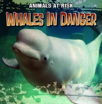 Library Binding Whales in Danger Book