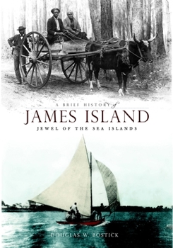 Paperback A Brief History of James Island: Jewel of the Sea Islands Book