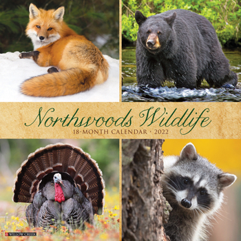 Calendar Northwoods Wildlife 2022 Wall Calendar Book