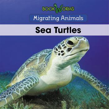 Paperback Sea Turtles Book