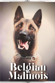 Paperback Belgian Malinois: Dog breed overview and guide Book