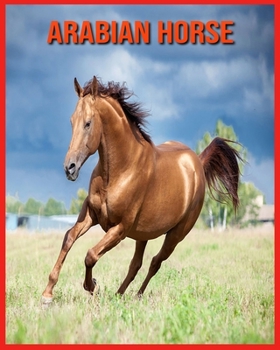 Paperback Arabian Horse: Children Book of Fun Facts & Amazing Photos Book