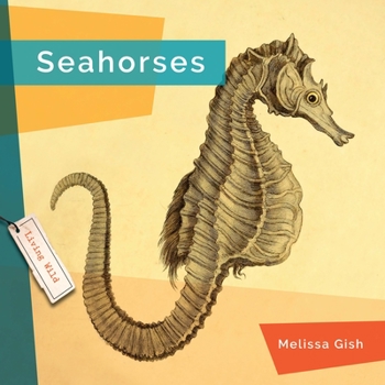 Hardcover Seahorses Book