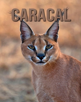 Paperback Caracal: Amazing Pictures and Facts About Caracal Book