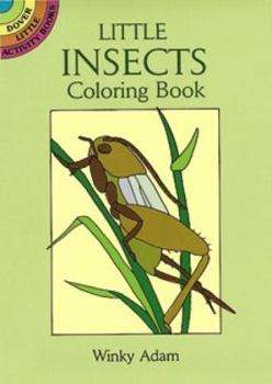 Paperback Little Insects Coloring Book