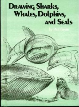 Hardcover Drawing Sharks, Whales, Dolphins, and Seals Book