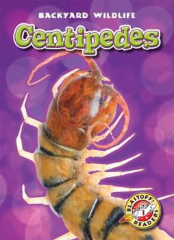 Centipedes - Book  of the Backyard Wildlife