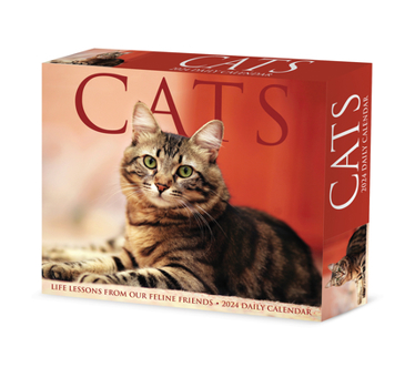 Product Bundle Cats 2024 6.2 X 5.4 Box Calendar Book