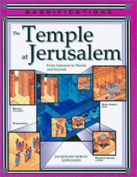 Hardcover The Temple at Jerusalem Book