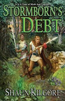 Paperback Stormborn's Debt Book