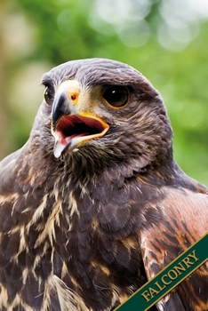 Falconry: Desert Buzzard, Desert Hawk, Harris Hawk. Format A5, 120 pages, fine light grey lined. Daily entries, notes and journal for the falconer, the falconer, nature and bird friends.