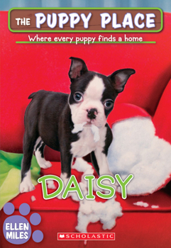 Paperback Daisy (the Puppy Place #38) Book