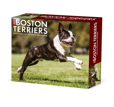 Calendar Boston Terriers 2022 Box Calendar - Dog Breed Daily Desktop Book