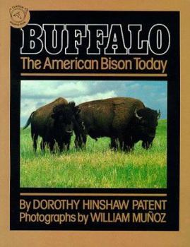 Paperback Buffalo: The American Bison Today Book