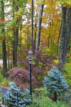 2020 Daily Planner Pretty Landscaping Autumn 388 Pages: 2020 Planners Calendars Organizers Datebooks Appointment Books Agendas