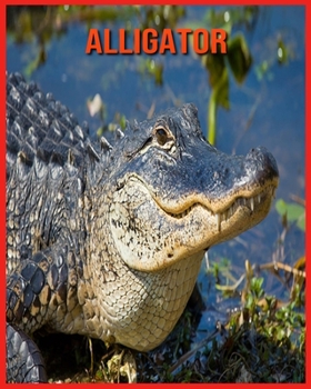 Alligator: Photos Etonnantes & Recueil d'Informations Amusantes Concernant les Alligator pour Enfants
