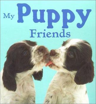 Board book My Puppy Friends Book