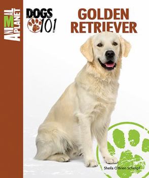 Golden Retriever - Book  of the Animal Planet Dogs 101