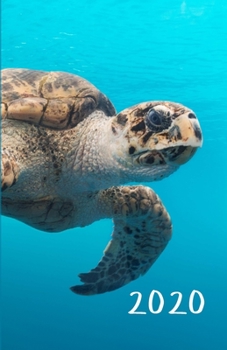 2020: Monthly and weekly all in one planner with calendar, schedule, assignments, 2021 future plans and more. Monday start week. Fits in purse. 8.5 x 5.5 (Half letter size) (Sea turtle swimming. Soft 