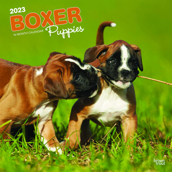 Calendar Boxer Puppies 2023 Square Book