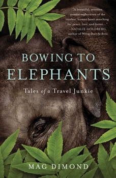 Paperback Bowing to Elephants: Tales of a Travel Junkie Book