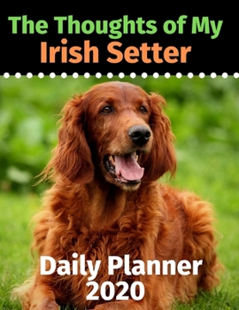 Paperback The Thoughts of My Irish Setter: Daily Planner 2020 Book