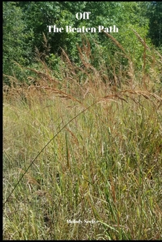 Paperback Off The Beaten Path: 4 year Blood Glucose Tracker Book