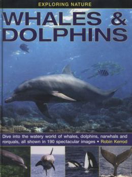 Hardcover Exploring Nature: Whales & Dolphins: Dive Into the Watery World of Whales, Dolphins, Narwhals and Rorquals, All Shown in 190 Spectacular Images Book