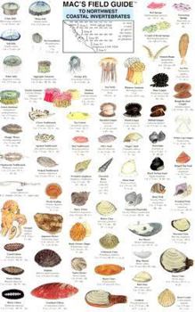 Paperback Mac's Field Guides: Northwest Coastal Invertebrates Book