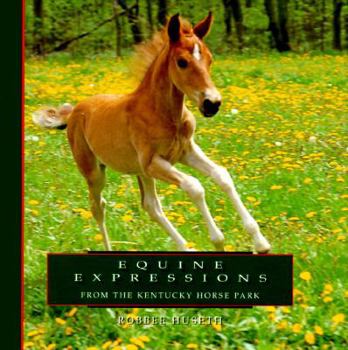 Hardcover Equine Expressions Book