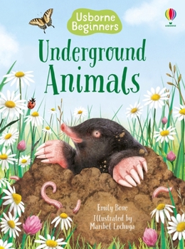 Under the Ground - Book  of the Usborne Beginners