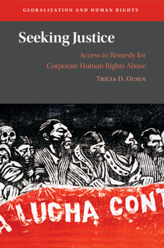 Paperback Seeking Justice: Access to Remedy for Corporate Human Rights Abuse Book