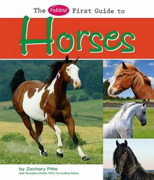 Hardcover The Pebble First Guide to Horses Book