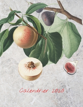 Calendrier 2020: Calendrier mensuel 2020 illustré de fruit avec une grande image et des dates de calendrier, des espaces pour enregistrer les revenus, ... les notes (couverture grise) (French Edition)