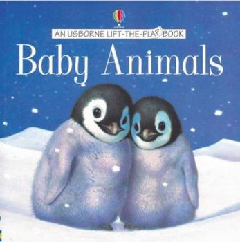 Baby Animals (Lift the Flap Learners) - Book  of the Usborne Lift-the-Flap
