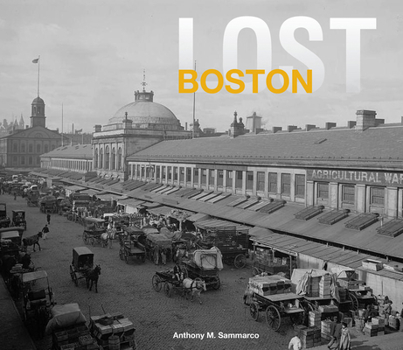 Hardcover Lost Boston Book