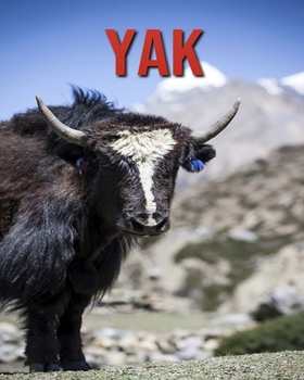 Paperback Yak: Amazing Pictures & Fun Facts on Animals in Nature Book