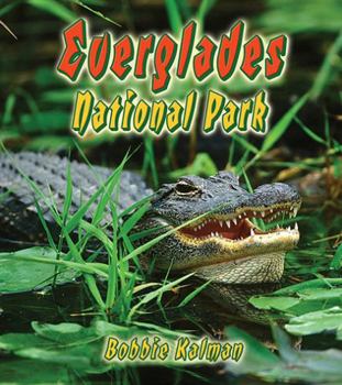 Paperback Everglades National Park Book