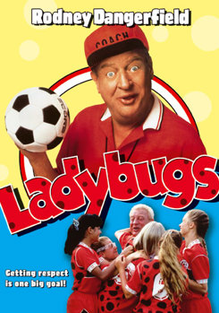 DVD Ladybugs Book