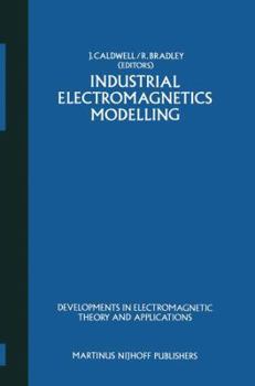 Paperback Industrial Electromagnetics Modelling: Proceedings of the Polymodel 6, the Sixth Annual Conference of the North East Polytechnics Mathematical Modelli Book